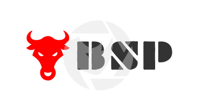 BSP