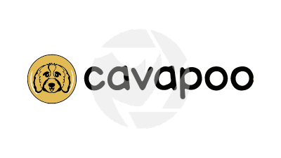 CAVA