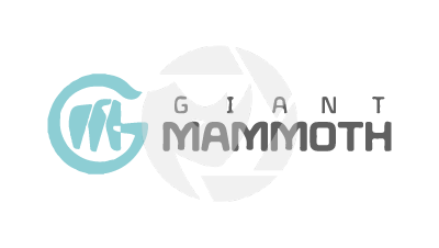 GMMT